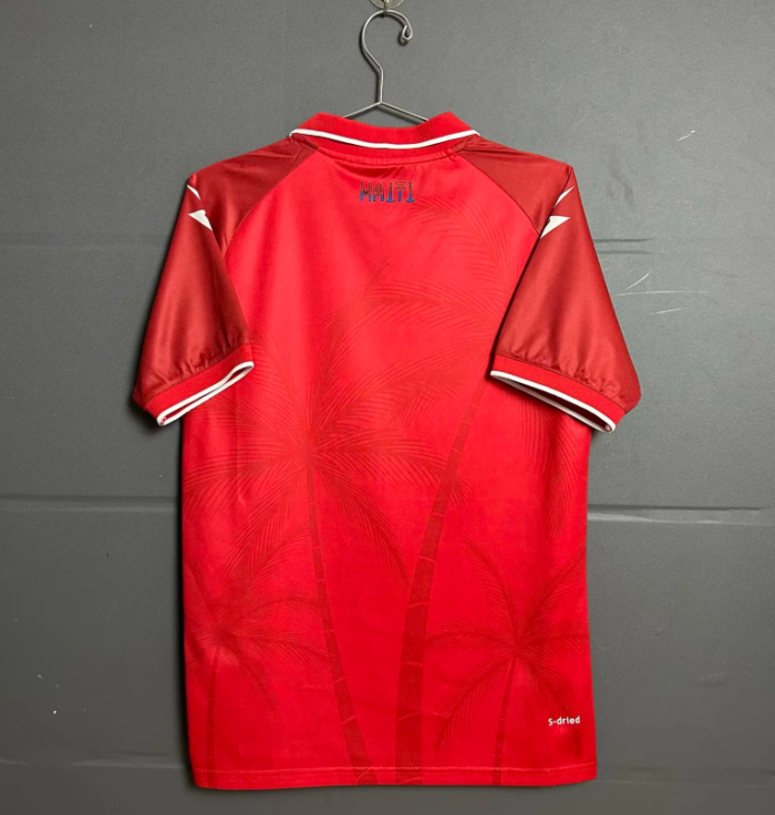 Haiti 2026 World Cup Third Man Jersey