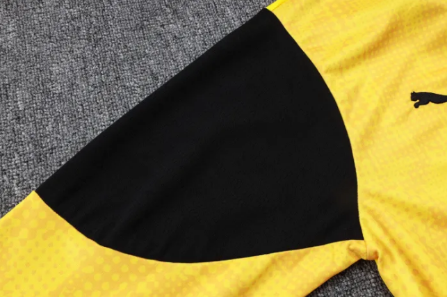Borussia Dortmund Training Jersey Suit 25/26