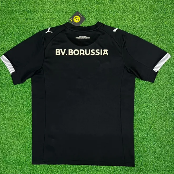 Borussia Dortmund Sondertrikot 100 Jahre Rote Erde Man Jersey
