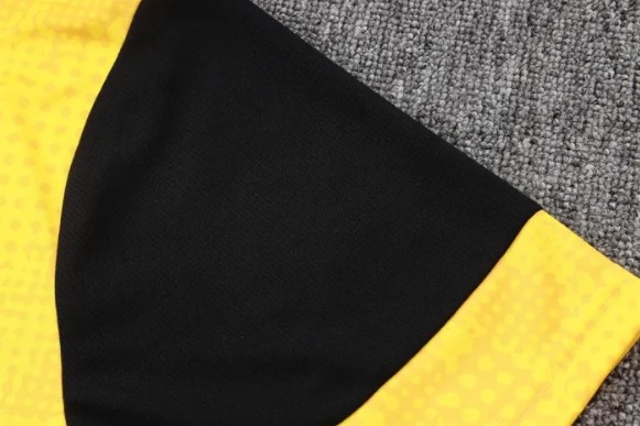 Borussia Dortmund Training Short sleeve Jersey 25/26