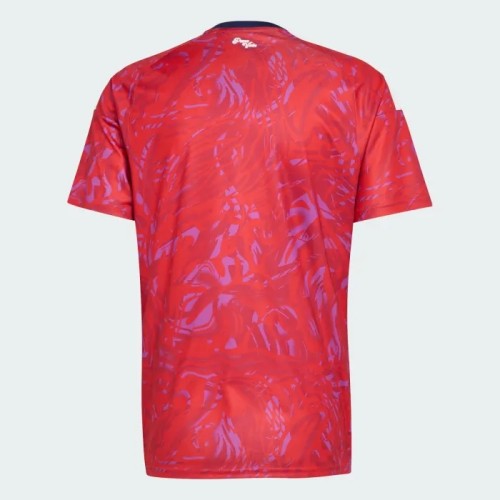 Costa Rica 2026 World Cup Home Men Jersey
