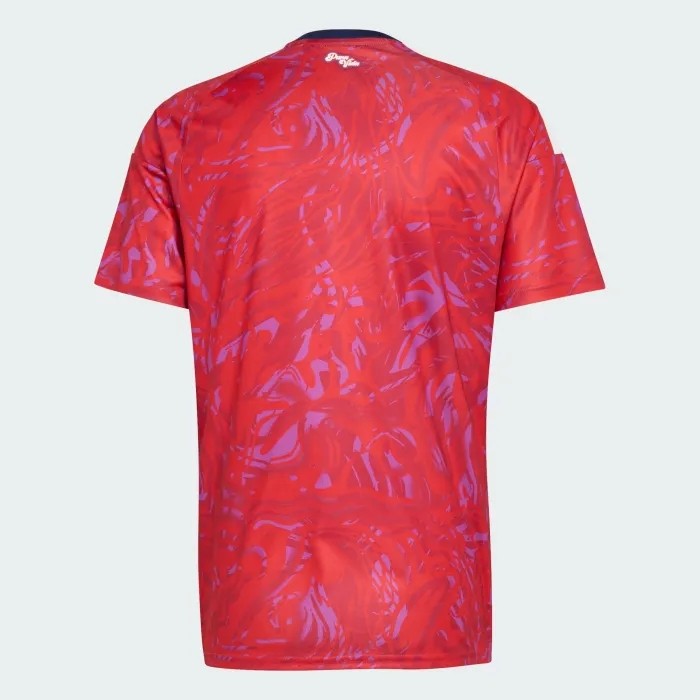 Costa Rica 2026 World Cup Home Men Jersey