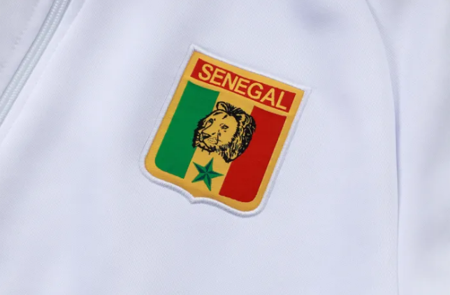 Senegal Training Jacket 26/27
