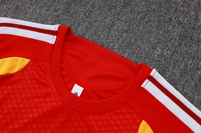 Germany Training Jersey 26/27