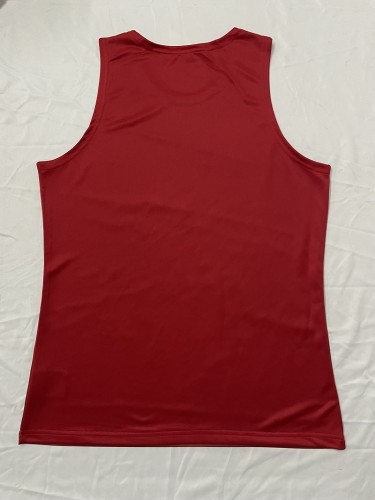 British and Irish Lions vest