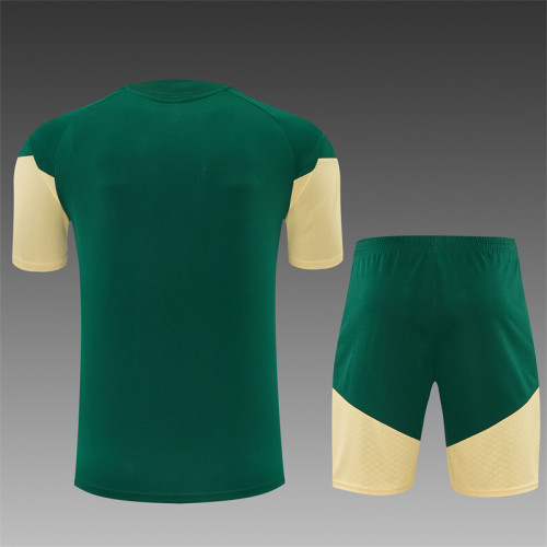 26/27 Real Madrid Short sleeve Adult training suit green