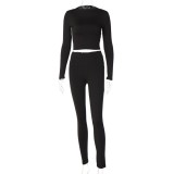 Fall Two Piece Plain Bodycon Crop Top and Pants Set