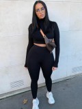 Fall Two Piece Plain Bodycon Crop Top and Pants Set