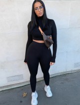 Fall Two Piece Plain Bodycon Crop Top and Pants Set Fall Two Piece Plain Bodycon Crop Top and Pants Set
