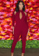 Women Spring Red Formal Turtleneck Full Sleeves Solid Hollow Out Skinny Jumpsuit