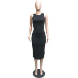 Women's Spring/Summer Sexy Round Neck Solid Color Multicolor Bodycon Dress