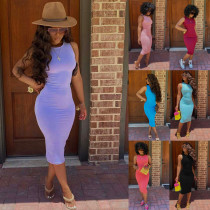 Women's Spring/Summer Sexy Round Neck Solid Color Multicolor Bodycon Dress Women's Spring/Summer Sexy Round Neck Solid Color Multicolor Bodycon Dress