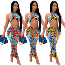 Women's Sexy Skirt Printed Two Piece Set Women's Sexy Skirt Printed Two Piece Set