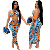 Women's Sexy Skirt Printed Two Piece Set