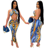 Women's Sexy Skirt Printed Two Piece Set