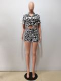 Summer Fashion Print Multicolor Shirt Shorts Casual Set