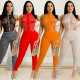 Fashion Print Women's Round Neck Sleeveless Mesh See-Through Pants Two Piece