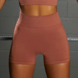 Spring/Summer Seamless Yoga Wear High Waist Fitness Pants Women Yoga Set