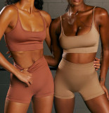 Spring/Summer Seamless Yoga Wear High Waist Fitness Pants Women Yoga Set