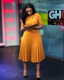 Plus Size Women Summer Short Sleeve High Waist Pleated Dress