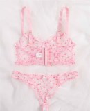 Ultra-Thin Transparent Sexy Bra Briefs Underwear Set Sexy Intimate Provocative Bikini Lingerie Set Sexy Underwear