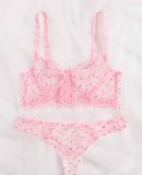 Ultra-Thin Transparent Sexy Bra Briefs Underwear Set Sexy Intimate Provocative Bikini Lingerie Set Sexy Underwear