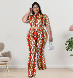 Plus Size Women Clothes Summer Short Sleeve T-Shirt Straight Pants Two Piece Set