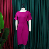 Autumn Professional Purple Ruffle Sleeves Pencil Office Dress