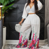 Fashion Suit Women's V-Neck Bat Sleeves Chiffon Top Pleated Wide Leg Pants Two Piece Set