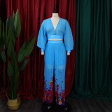 Fashion Suit Women's V-Neck Bat Sleeves Chiffon Top Pleated Wide Leg Pants Two Piece Set