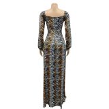 Printed V-Neck Wrap Chest Long Wide-Sleeve Irregular Slit Maxi Dress