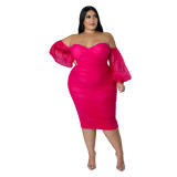 Plus Size Women Fall Mesh Pleated Long Sleeve Dress