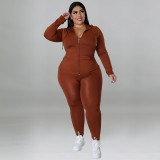 Plus Size Women's Solid Fall Hood Long Sleeve Pants Fashion Casual Set