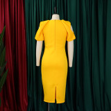 Women's Summer Plus Size Women's Bodycon Office Chic Dress
