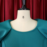 Women's Summer Plus Size Women's Bodycon Office Chic Dress