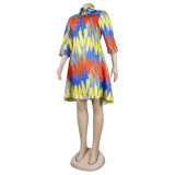 Women Casual Printed Deep v Turndown Collar Dress