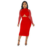 Women Mesh Long Sleeve Solid Cut Out Bodycon Dress