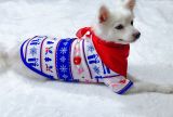 Christmas Hat Letter Print Homewear Two-Piece Fashion Snowflake Halloween Parent-Child Dress