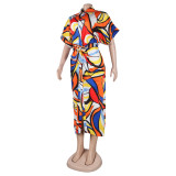Sexy Slim Fit Multi-Color Club Dress
