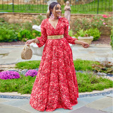 Plus Size Women's Autumn and Winter Sexy Deep V Print Snake Print Dress