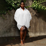 Solid Long Sleeve Loose Drawstring Shirt Plus Size Dress