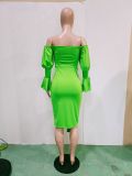 Women Sexy Off Shoulder Balloon Sleeve Dress