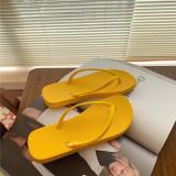 Summer Flat Flip-Flops Female Couple Simple Solid Color Clip-On Beach Slippers Summer