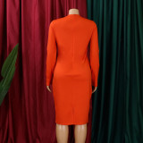 Women's Fall Fashion Plus Size V Neck Long Sleeve Chic Pencil Dress