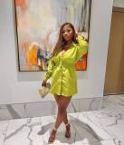 Women Chic Lapel Long Sleeve Solid Dress