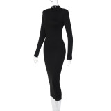 Women Fall Solid Turtleneck Long Sleeve Bodycon Dress