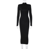 Women Fall Solid Turtleneck Long Sleeve Bodycon Dress