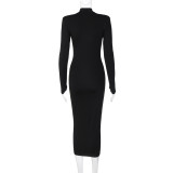 Women Fall Solid Turtleneck Long Sleeve Bodycon Dress