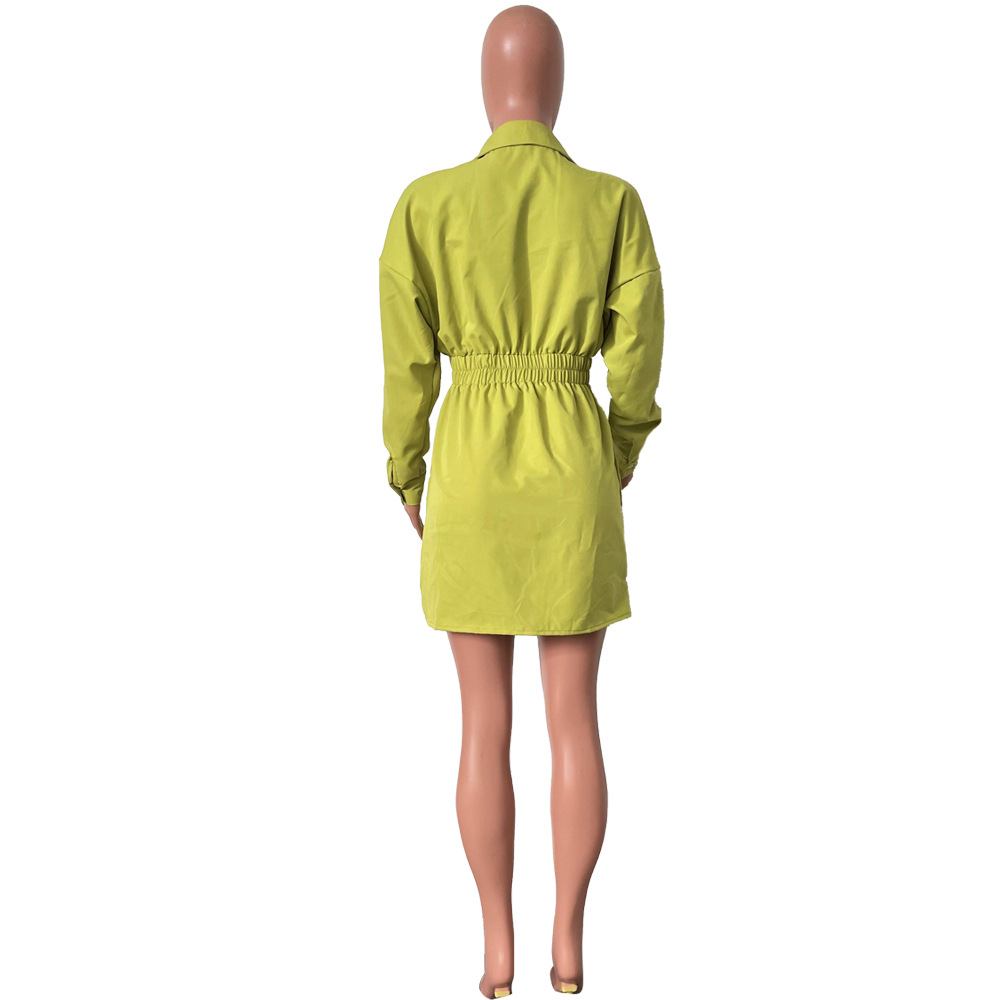 Women Chic Lapel Long Sleeve Solid Dress