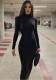 Women Fall Solid Turtleneck Long Sleeve Bodycon Dress